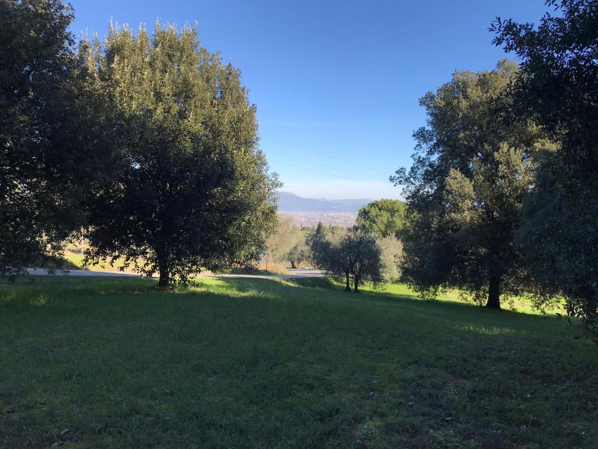 La Residenza Dei Piaceri Perduti- Le Volte Leilighet Lastra a Signa Eksteriør bilde
